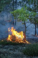 Zagrożenie pożarowe w mazowieckich lasach