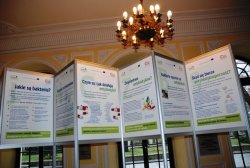  Wystawa plakatów prezentujących m.in. właściwości lecznicze antybiotyków