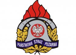  Logo Państwowej Straży Pożarnej