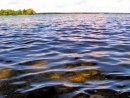 Niski i średni poziom wody w rzekach Mazowsza